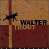 Walter Trout - Got a Broken Heart