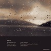 Lorin Maazel、Pittsburgh Symphony Orchestra、Jean Sibelius - Symphony No. 1 in E Minor, Op. 39: I. Andante, ma non troppo - Allegro energico