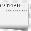 Tamar Braxton - Catfish