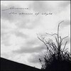 Lawrence - Fifteen Minutes with You