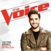 Krista Hughes - Angel From Montgomery (The Voice Performance)