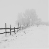 4lienetic - Winter