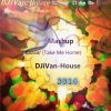 IVAN House《Bazaar (Take Me Home) Mashup》[MP3/LRC]