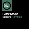 Peter Steele - Mantra (The Noble Six Remix)