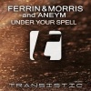 Aneym、Ferrin & Morris《Under Your Spell (Original Mix)》[MP3/LRC]