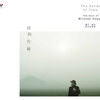 Michael Hoppé - 珍爱 (吉他版)