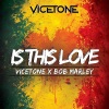 Vicetone、Bob Marley - Is This Love