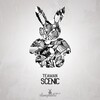 Teaman - Scenic