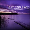 Lena Belgart,Thomas Lemmer《Is It Too Late (Radio Mix)》[MP3/LRC]