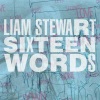 Liam Stewart《Bird Of Prey》[MP3/LRC]