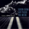 Gordon Grdina、Paul Motian、gary peacock - Yellow Spot into the Sun
