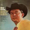 ray price - Healing Hands of Time