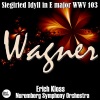 Nüremberg Symphony Orchestra、Erich Kloss《Siegfried Idyll in E Major, WWV 103》[MP3/LRC]