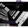 Damon - Purple Noise