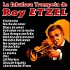Roy Etzel - El Silencio (Il Silenzio)
