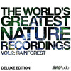 Peter Samuels - Rainforest Call