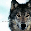 Evren Furtuna - Love Is Killing Me