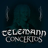 zagreb soloists - Concerto for Violin, Strings & Continuo in A Minor, TWV 51a2: I. Allegro