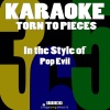 Karaoke 365《Torn to Pieces (In the Style of Pop Evil)(Karaoke Version)》[MP3/LRC]