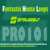 South Killah - Fantastic House Loops Beats (Tool 1)