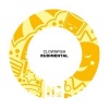Clownfish - Rudimental