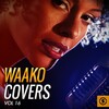 Waako Acapellas - Summer in the City