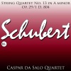 Caspar Da Salo Quartet - String Quartet No. 13 in A minor, Op. 29/1 D. 804: I. Allegro ma non troppo