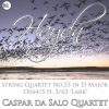 Caspar Da Salo Quartet - String Quartet No.53 