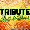 Audio Idols - Ain't No Sunshine