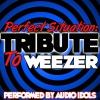 Audio Idols - Perfect Situation
