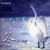 纯音乐《雪中情》[MP3/LRC]