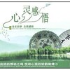 史志有 - 梅花欢喜满天雪
