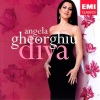 Evelino Pidò - Aria: Casta diva