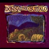 donna the buffalo《Hit The Groove》[MP3/LRC]