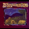 donna the buffalo《River Of Gold》[MP3/LRC]