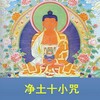 咏咏 - 七佛灭罪真言