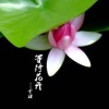 李瑶 - 一个地方