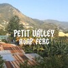 A$AP Ferg - Petit Valley