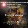 Vassil Kazandjiev、Nikola Zidarov、Vencislav Nikolov、Jerusalem Symphony Orchestra - Don Quixote, Op. 35: Variation I - Variation II - Variation III - Variation IV