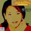 辛晓琪 - 领悟
