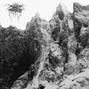 Darkthrone - Earth's Last Picture