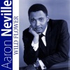 Aaron Neville - Show Me The Way