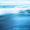 Colourmusic、Hanspeter Kruesi、Colour Music - Birds (Solopiano)