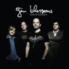 gin blossoms - Learning The Hard Way