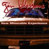 gin blossoms - Lost Horizons