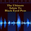 Hip Hop DJs United - The Time (A Tribute to Black Eyed Peas)