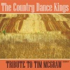 Country Dance Kings《Last Dollar (Fly Away)》[MP3/LRC]