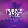Ameritz Tribute Club - Hey Joe