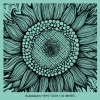 Blaudzun - Who Took The Wheel