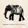 Blaudzun - Elephants (Live At Lowlands)